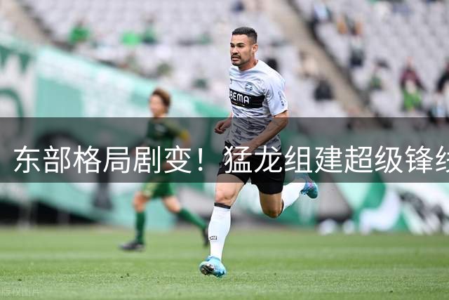 东部格局剧变！猛龙组建超级锋线群剑指总冠军