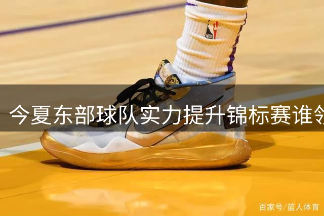 今夏东部球队实力提升锦标赛谁领风骚？
