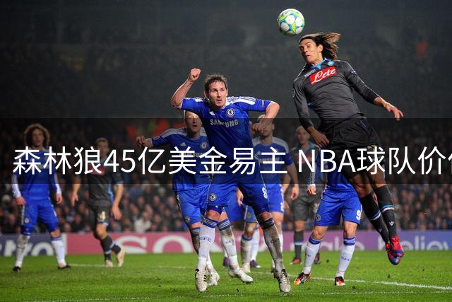 森林狼45亿美金易主 NBA球队价值呈几何级增长
