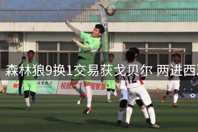 森林狼9换1交易获戈贝尔 两进西决证实决策价值